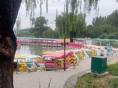 -朝阳公园游乐园