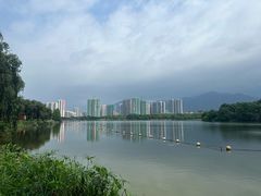 -飞来湖湿地公园