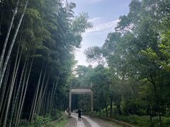 -黄公望隐居地