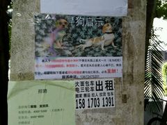 -小洲村