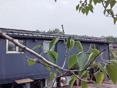-糖房咖啡(南锣鼓巷店)