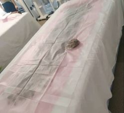 -姜美堂·蒸姜除湿の纤体美颜馆