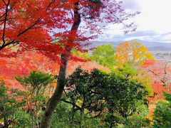 -常寂光寺