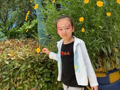 -芜湖新华联大白鲸海洋公园