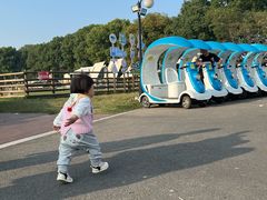 -苏州太湖西山岛开心农场