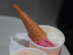 -Dip in Gelato(富民路店)