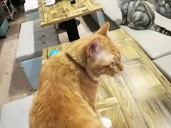 -小时光咖啡馆(开森度假森林店)