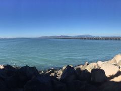 -香港东海海鲜酒家