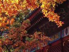 -香山公园