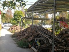 荔枝木柴火-荔枝红五号农庄