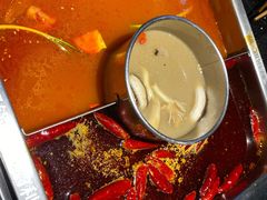 渝利鸳鸯锅-渝利重庆火锅