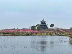 -上海海湾国家森林公园