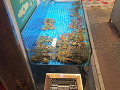 -大张烙馍村(泉山店)