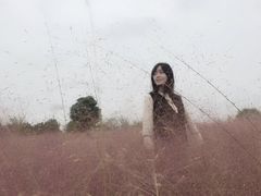 -金卉庄园