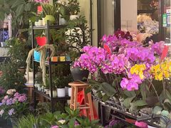 -溪岸路花鸟市场