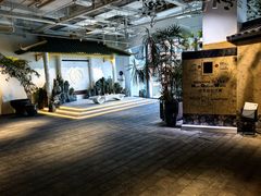 -大视光学•LINDBERG林德伯格•全球手工眼镜集合店(王府井店)