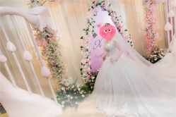 -艾米丽婚纱礼服