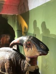 -恐龙探索乐园(磁器口店)