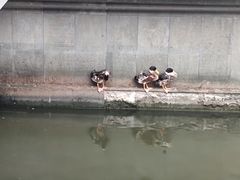 -浙江省博物馆(孤山馆区)