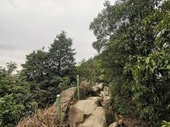 -南山植物园