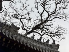 -护国法轮寺