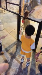 -酷嗒动物文化乐园(cutezoo西溪乐天城店)