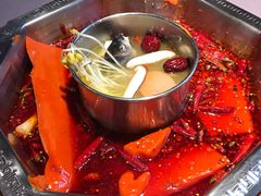-蜀九香火锅(九眼桥店)