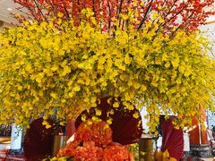 -北京中国大饭店