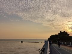 -贡湖湾湿地公园
