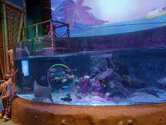 -沈阳海洋探索中心