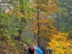 -洛阳白云山景区