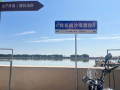 -大湾区中央湿地公园-十九涌
