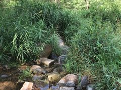 -碓臼峪自然风景区