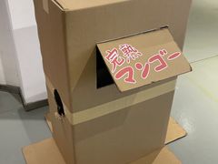-Sony Store 索尼(上海淮海中路店)