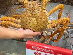 -阿拉斯加·海货(马王堆店)