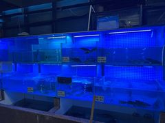 -老宋家鱼馆(北滨路店)