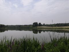 -东郊湿地公园