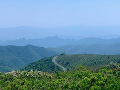 -阳台山自然风景区