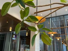 -EVERNAKED裸蛋糕(SOHO天山店)