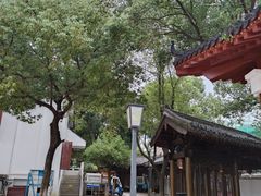 -绳金塔