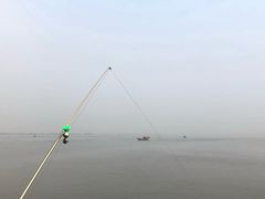 -大湾区中央湿地公园