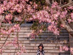 -风云岭森林公园