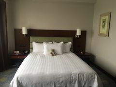 -上海浦东华美达大酒店