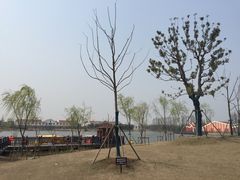 -上海长兴岛郊野公园