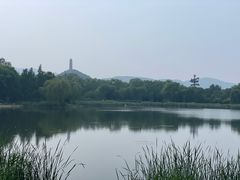 -北坞公园
