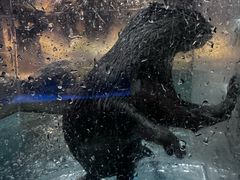 -哈尔滨波塞冬海底世界