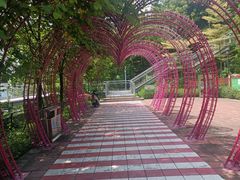-佛山华盖山公园