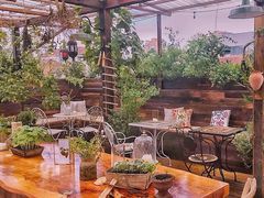 -普朗姆生蚝吧(原建国路店)
