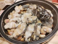 -锦粤宫·精致粤菜(深圳北站店)