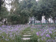 -河海大学(江宁校区)